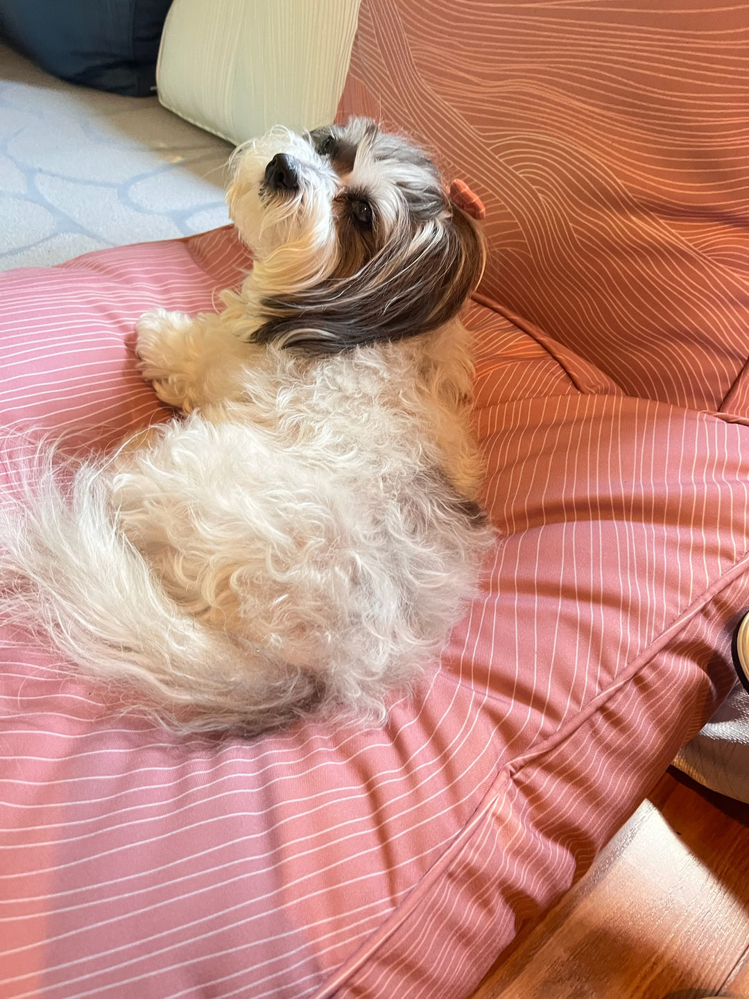 Mindfulness Collection with Jill Malek: Flowberry Floorpillow