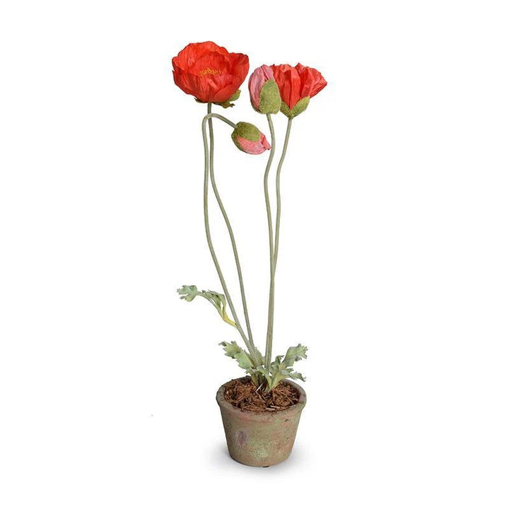 Forever Floral: Poppy in Terracotta Pot