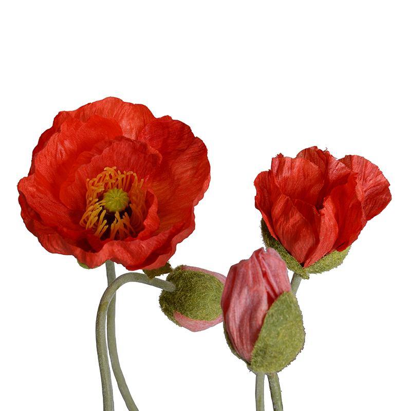 Forever Floral: Poppy in Terracotta Pot