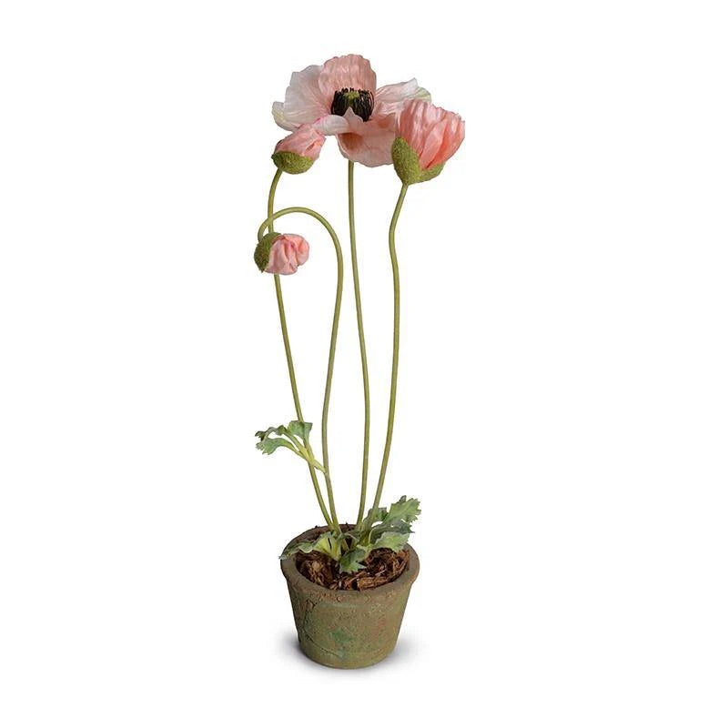 Forever Floral: Poppy in Terracotta Pot