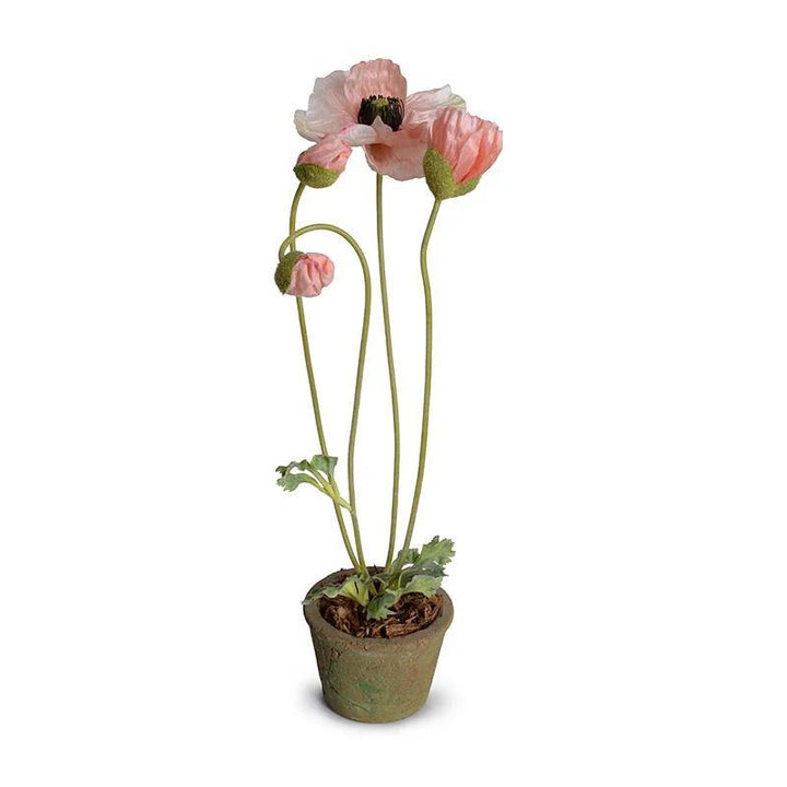 Forever Floral: Poppy in Terracotta Pot