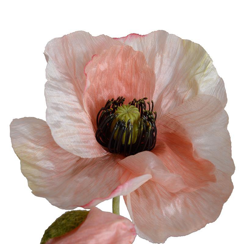Forever Floral: Poppy in Terracotta Pot