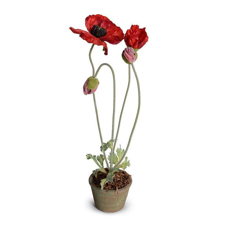 Forever Floral: Poppy in Terracotta Pot
