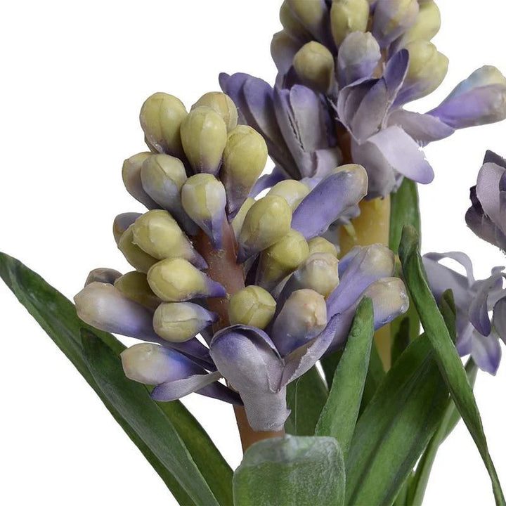 Forever Floral: Mini Hyacinth in Terracotta Pot