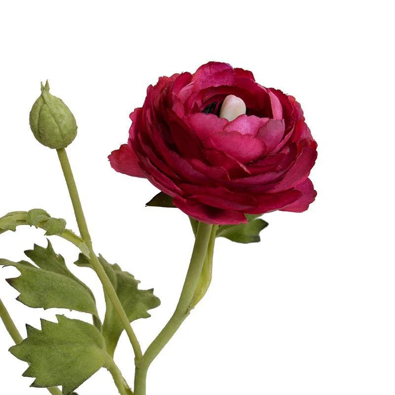Forever Floral: Ranunculus in Terracotta Pot