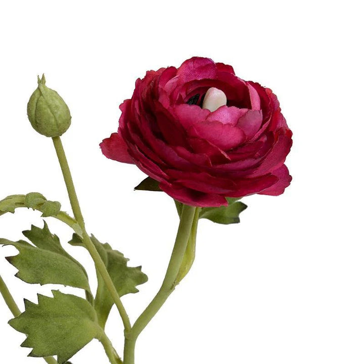 Forever Floral: Ranunculus in Terracotta Pot