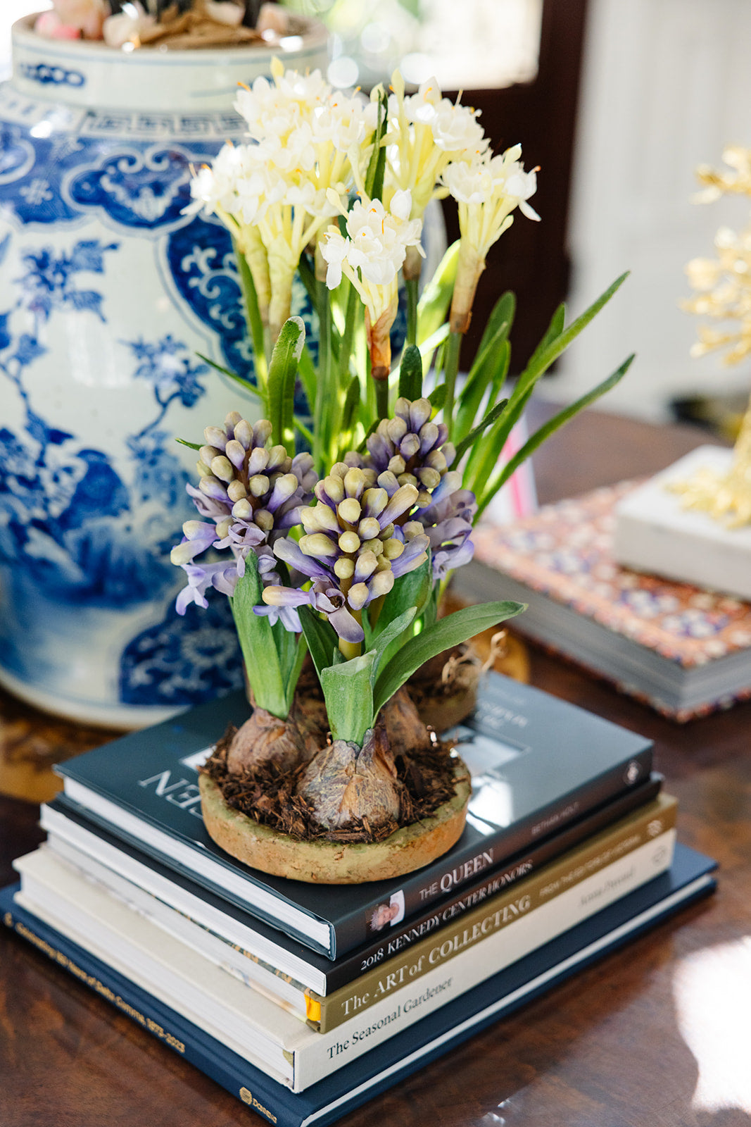Forever Floral: 3 Hyacinth Bulbs in Terracotta Dish