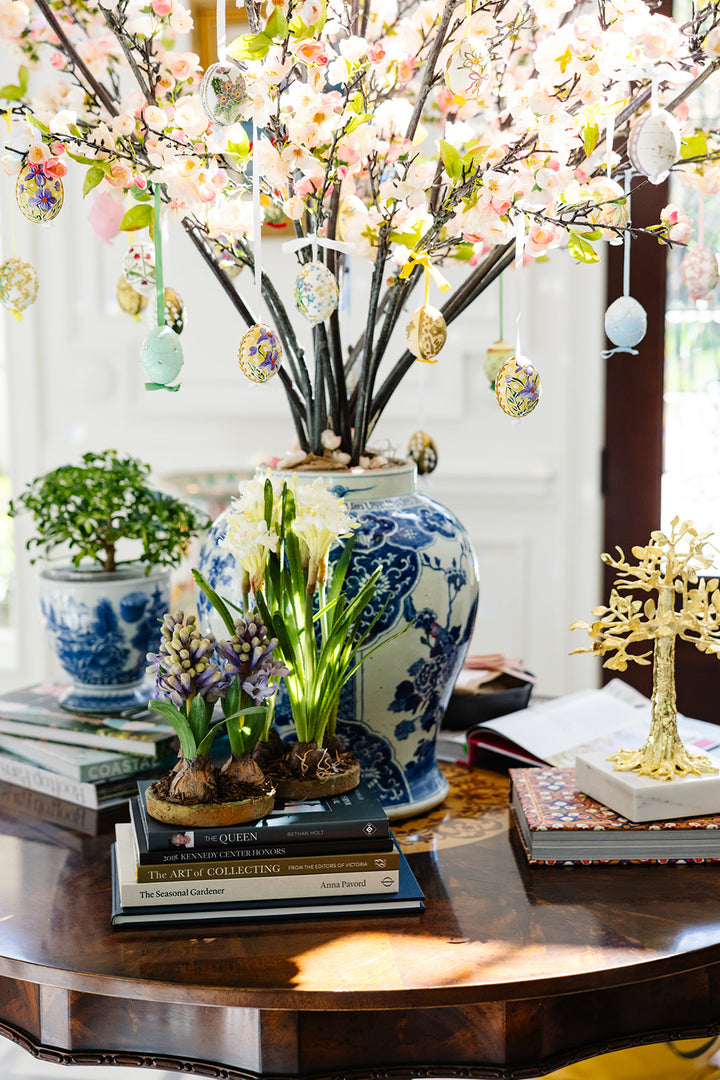 Forever Floral: 3 Hyacinth Bulbs in Terracotta Dish