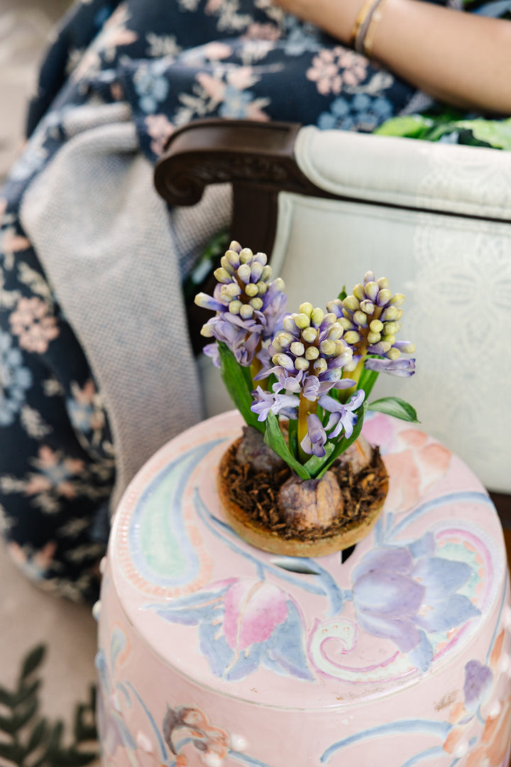 Forever Floral: 3 Hyacinth Bulbs in Terracotta Dish