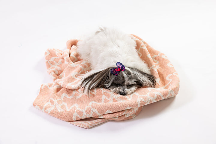 Clementine Grace in Blush Knit Blanket
