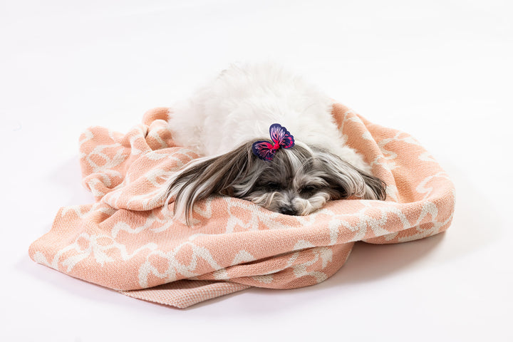 Clementine Grace in Blush Knit Blanket