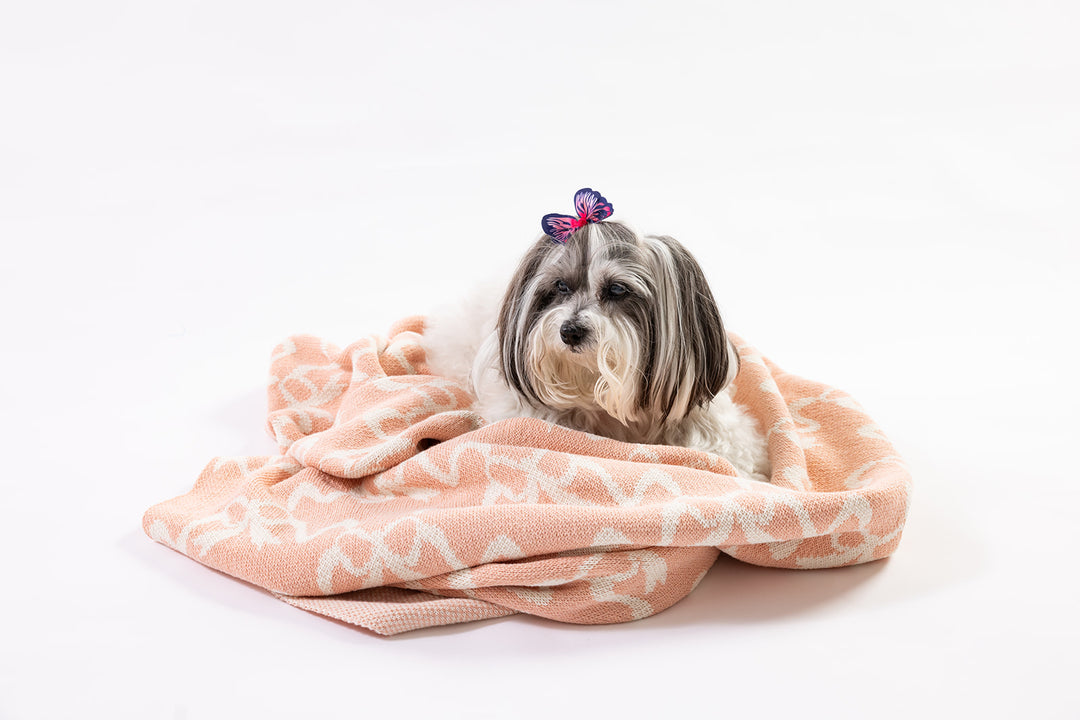 Clementine Grace in Blush Knit Blanket