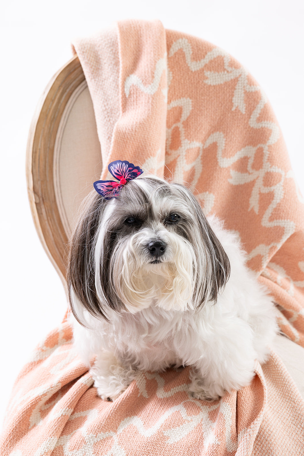 Clementine Grace in Blush Knit Blanket