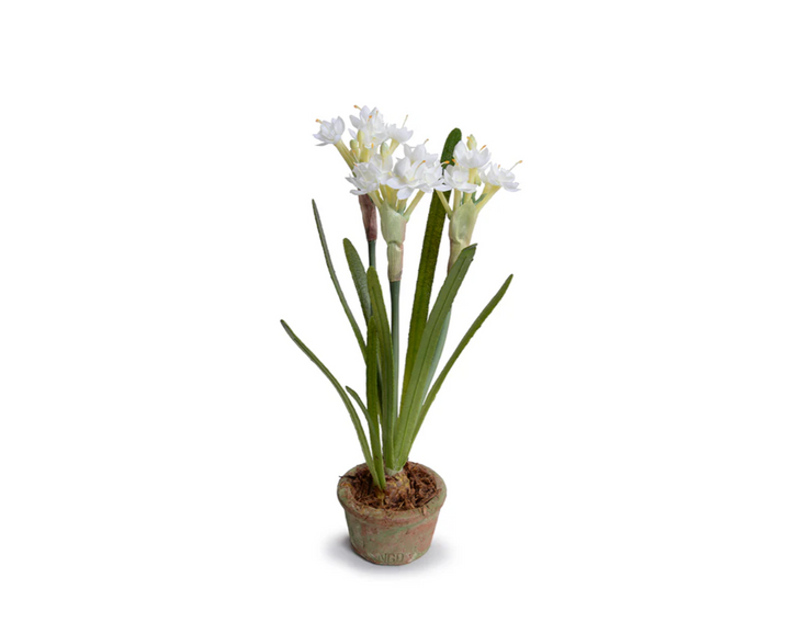 Forever Floral: Realistic Artificial Paperwhite Narcissus in 12" Terracotta Pot