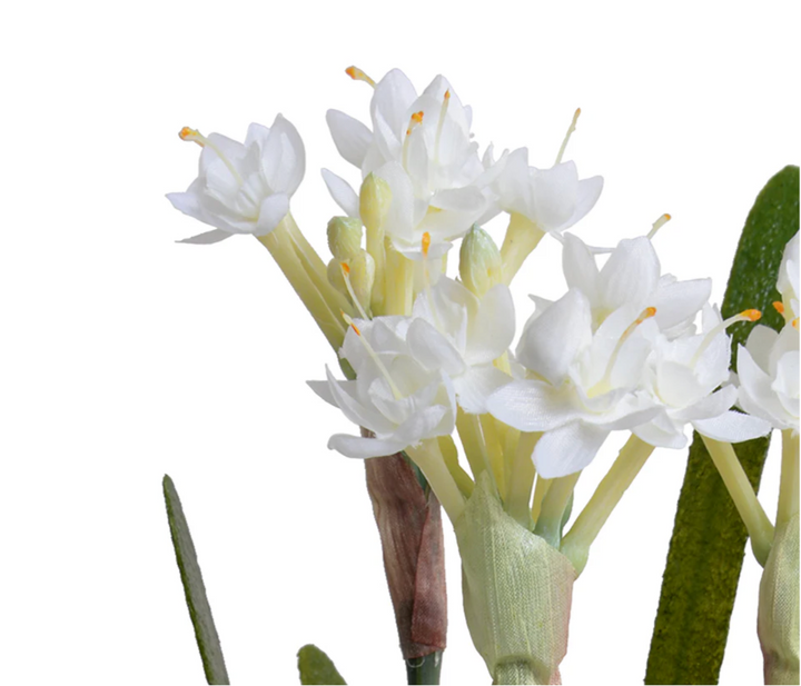 Forever Floral: Realistic Artificial Paperwhite Narcissus in 12" Terracotta Pot