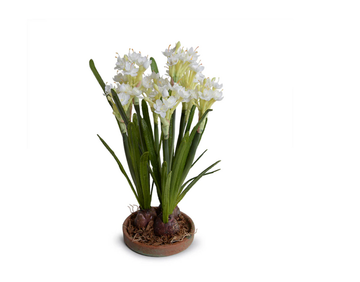 Forever Floral: Realistic Artificial Paperwhite Narcissus Bulbs on Saucer Dish