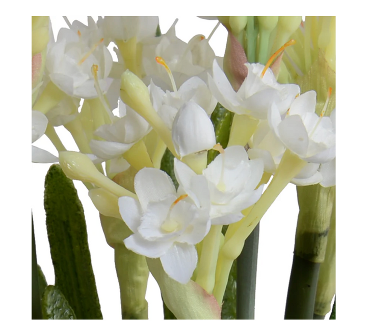 Forever Floral: Realistic Artificial Paperwhite Narcissus Bulbs on Saucer Dish