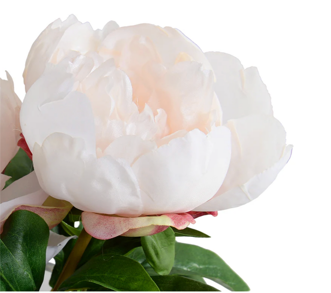 Forever Floral: Peony Cutting in Glass 9"H