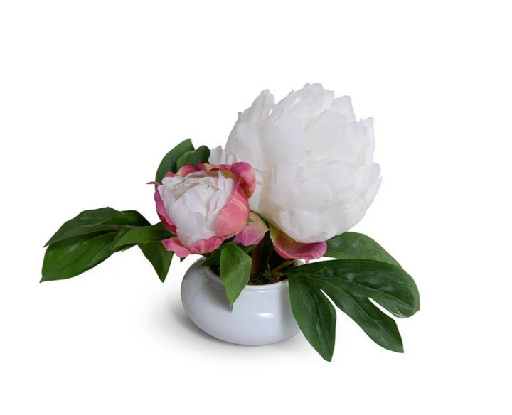 Forever Floral: Peony Cutting in White Porcelain Bowl 7"H