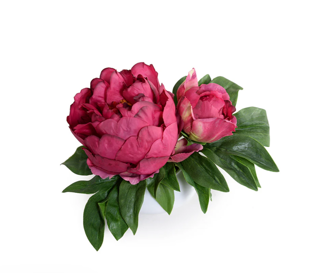 Forever Floral: Peony Cutting in White Porcelain Bowl 7"H