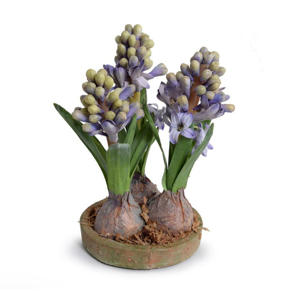 人気メーカー・ブランド Terracotta in Bulbs Hyacinth 3 Floral: Forever Dish June – 洋書