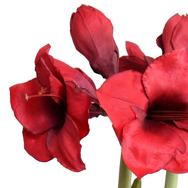 Forever Floral: Amaryllis in Terracotta 22"H with saucer