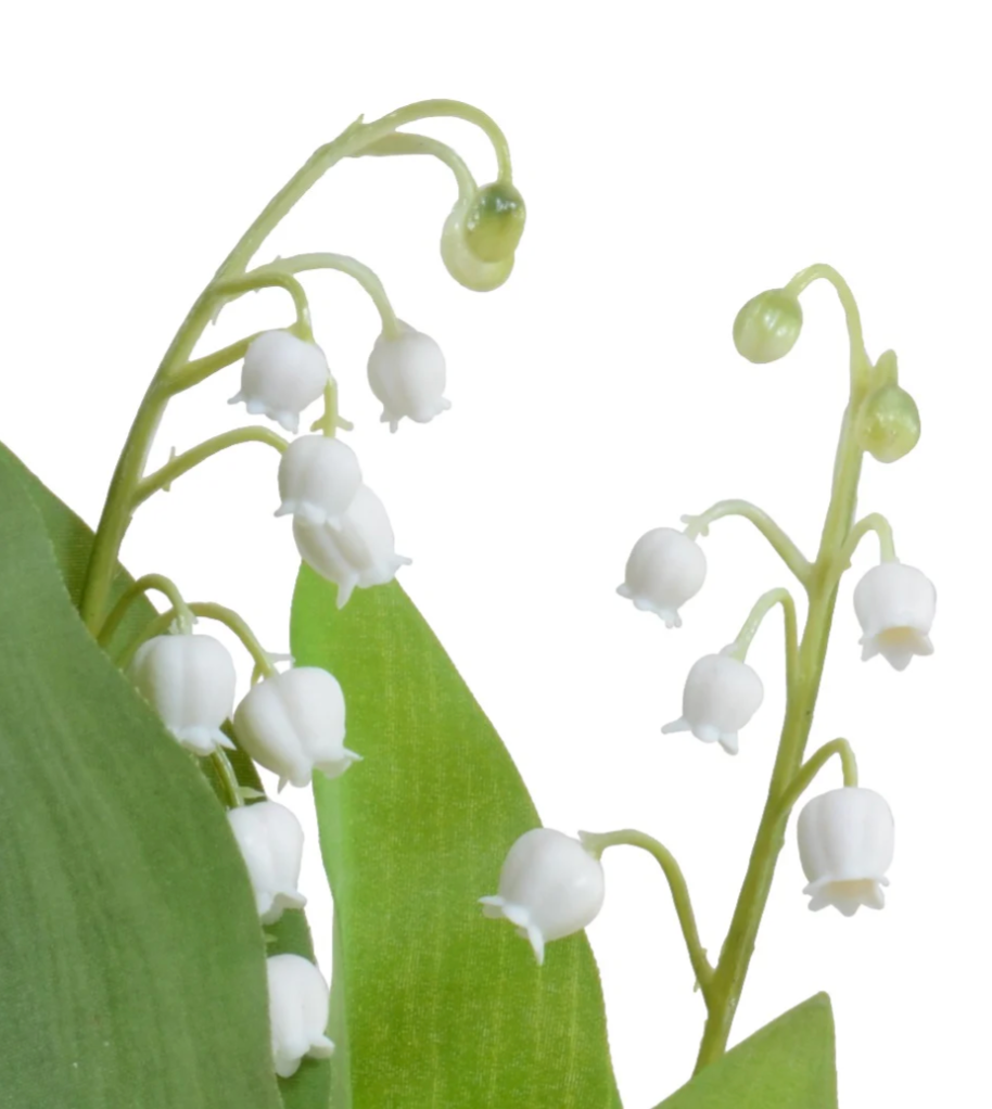 george lily flower Forever Floral: Mini Lily of the Valley – June St George Store