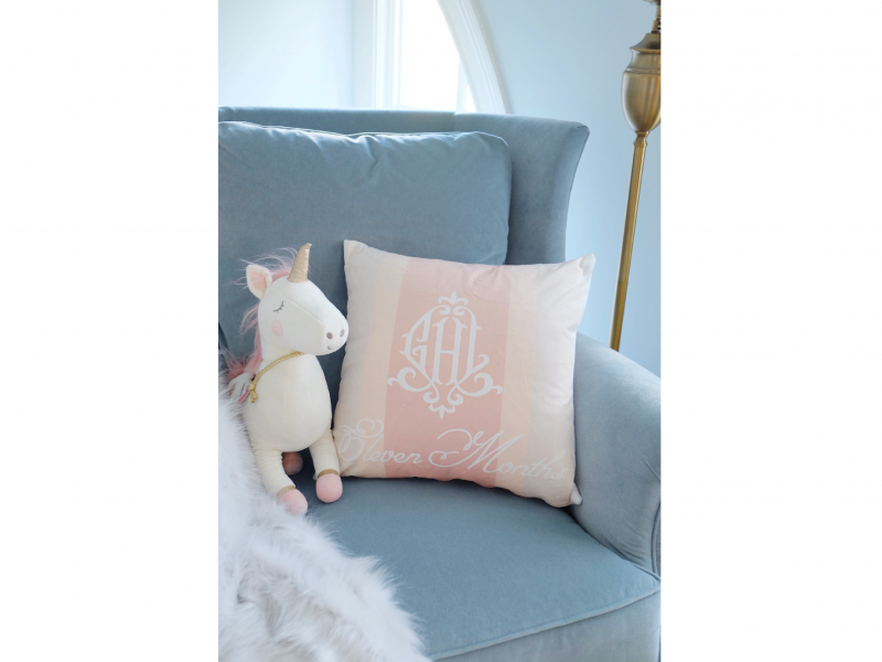 Baby Milestone 12 Month Pillow Collection
