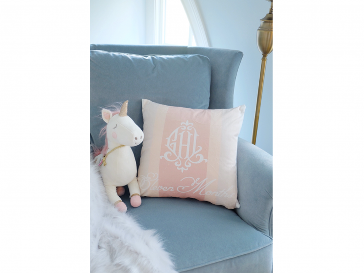 Baby Milestone 12 Month Pillow Collection